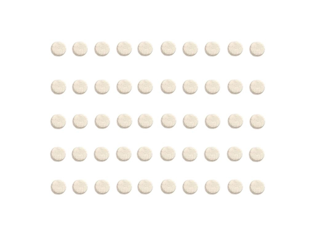 [200001116] Feutres pour filtre capillaire SL 3xx, (50 pièces)