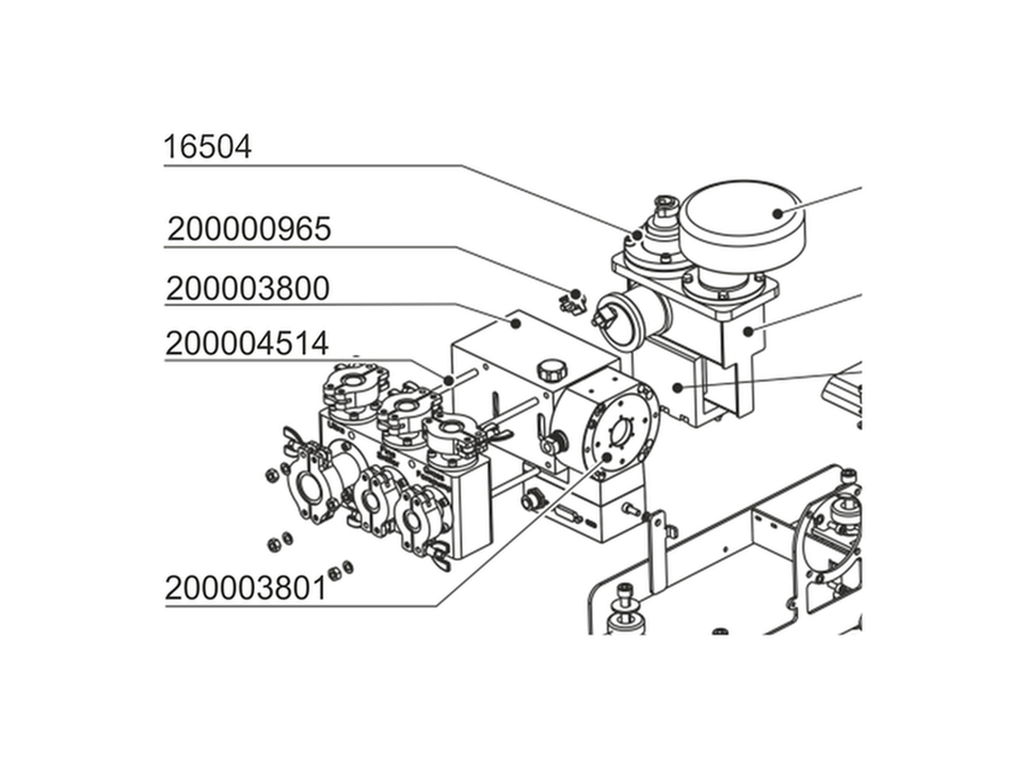 [200000965] Jeu de griffes (4 pièces)